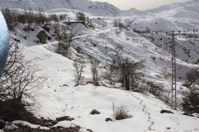 Şeyh Nazır Türbesi Yolu Onarılmayı Bekliyor