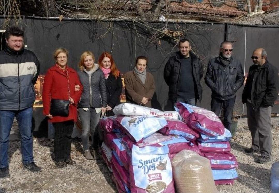 Sokak Hayvanları A&ccedil; Bırakılmadı