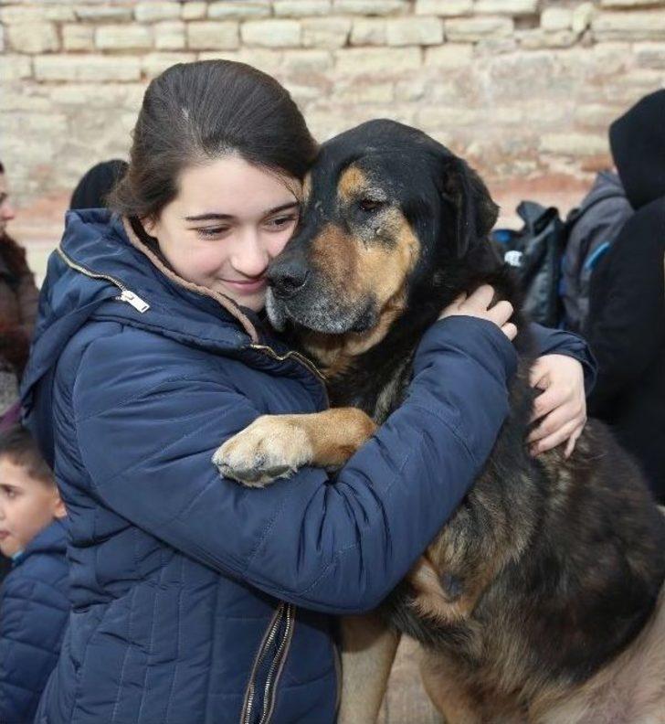 Ünlüler Sahipsiz Hayvanlara Destek İçin Buluştu G3