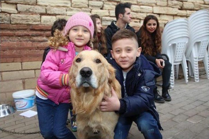 Ünlüler Sahipsiz Hayvanlara Destek İçin Buluştu G4