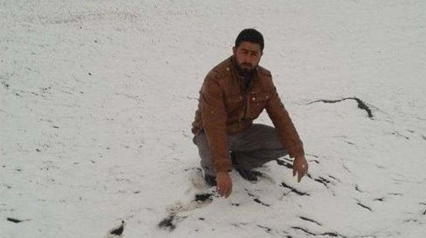 Cinnet Ge&ccedil;iren Şahıs, Eşi Ve &Ccedil;ocukları Toprağa Verildi