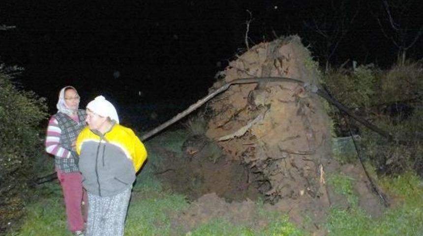 Marmaris'te Hortum B&uuml;y&uuml;k Hasara Neden Oldu