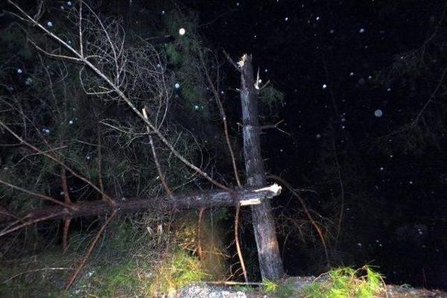 Marmaris'te Hortum Büyük Hasara Neden Oldu