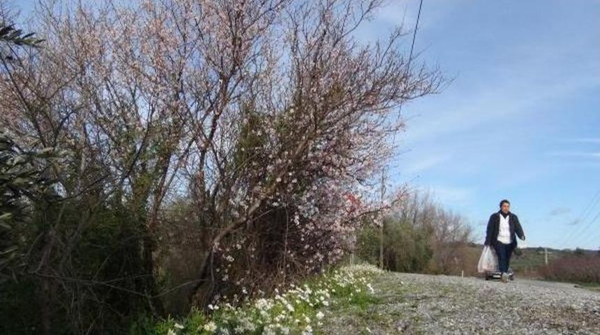 Kuşadası'nda Erken Bahar