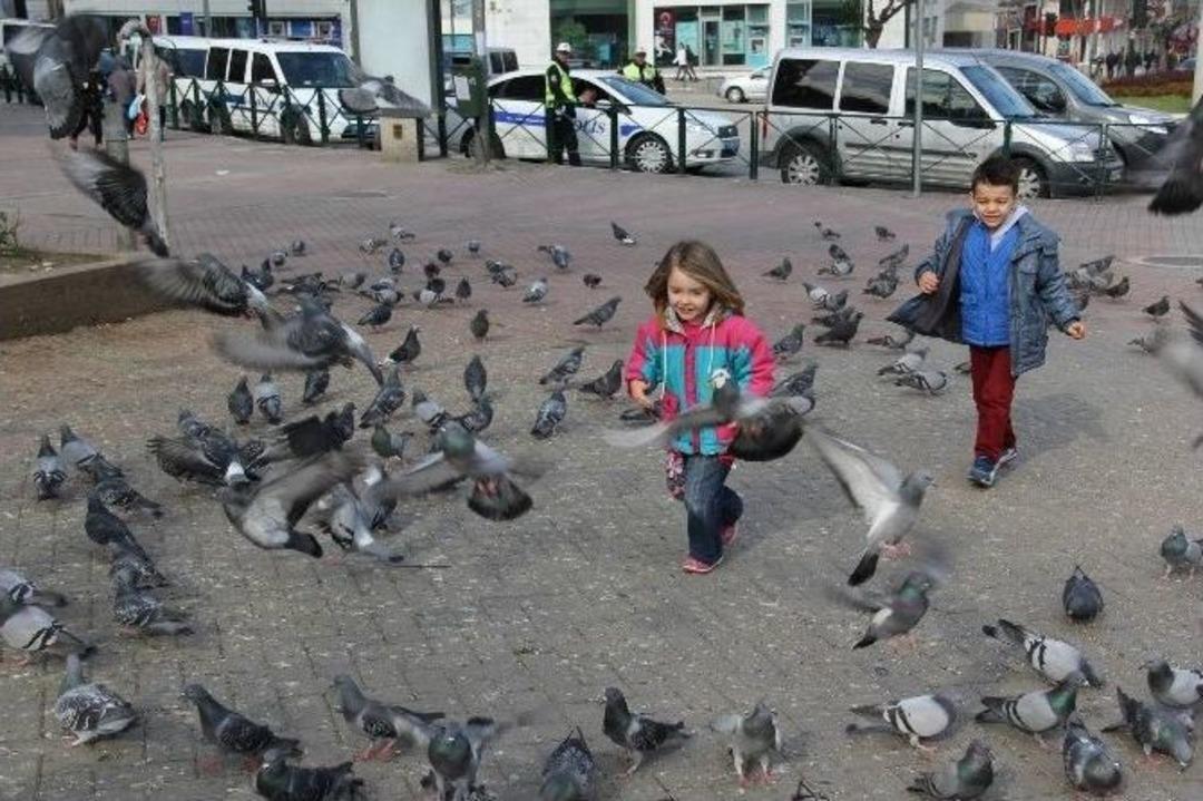 (&ouml;zel Haber) G&uuml;vercinler &Ccedil;ocukların Neşe Kaynağı