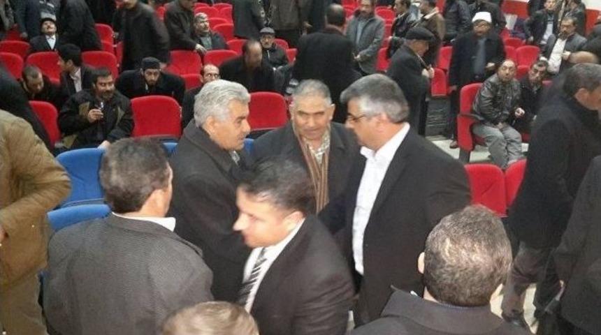 Değirmenci G&uuml;ven Tazeledi