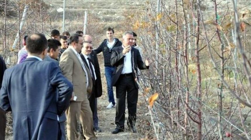 &Uuml;reticiye &rsquo;budama&rsquo; Uyarısı