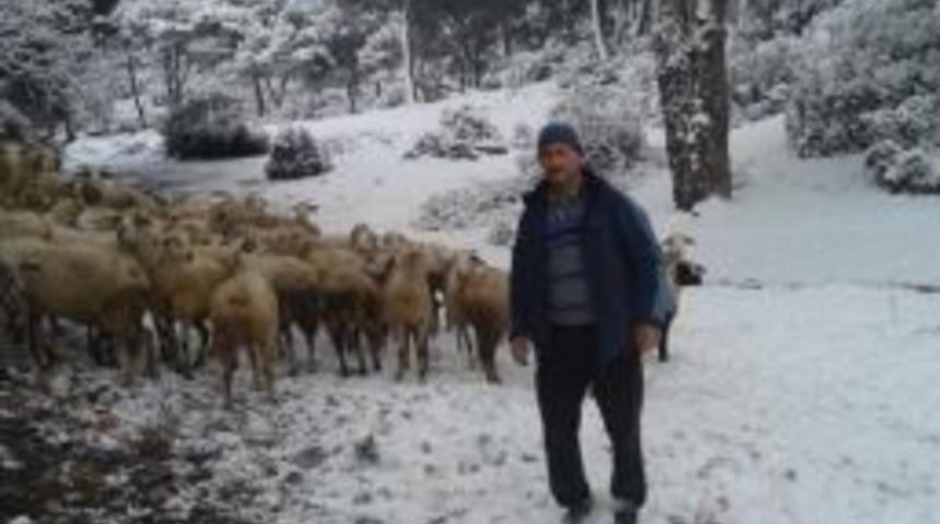 Milas&rsquo;ta Hayvan Hırsızlarına Kameralı &Ccedil;&ouml;z&uuml;m