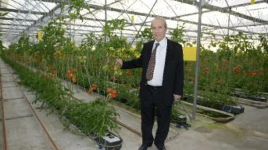 Beşi Bir Yerde Özaltın