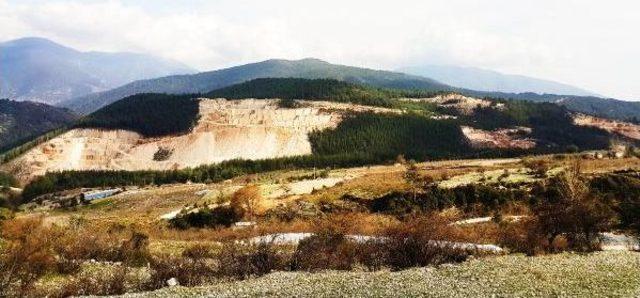 Avukatlar Çevre Katliamını Fotoğrafladı