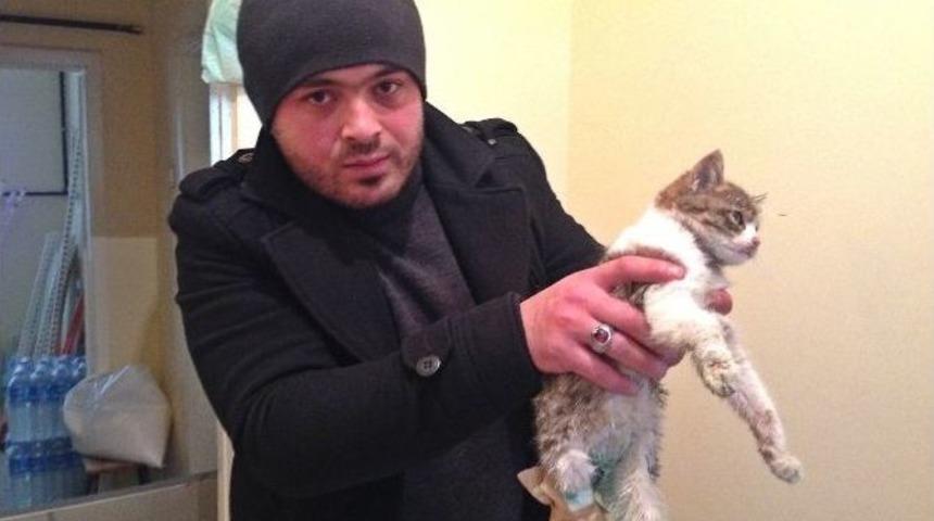 Duyarlı Vatandaş İşyerinin &Ouml;n&uuml;nde Bulduğu Yaralı Kediye Sahip &Ccedil;ıkt