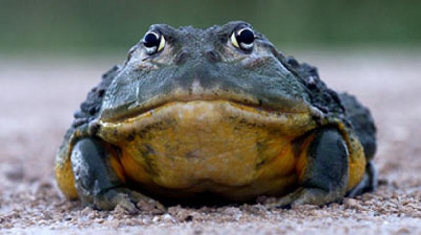 Yerseniz &ouml;l&uuml;rs&uuml;n&uuml;z