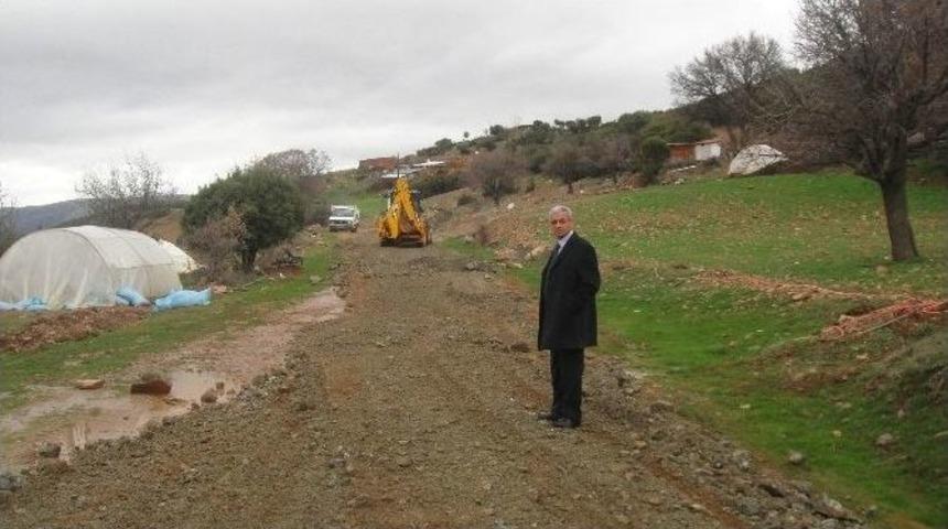 Kar, Zeytin &Uuml;reticilerini &Uuml;zd&uuml;