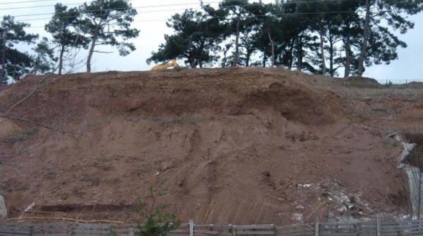 Heyelan &Ccedil;alışması Sırasında Ağa&ccedil;ları S&ouml;kt&uuml;ler