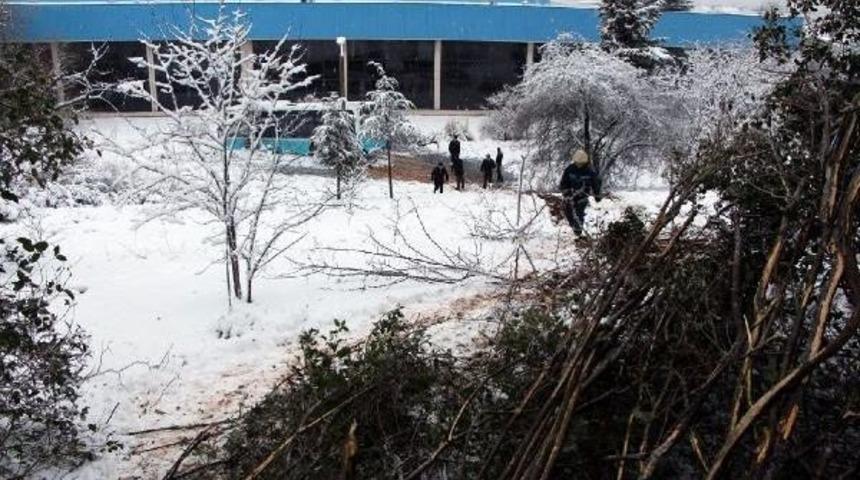 Yolcu Dolu &Ouml;zel Halk Otob&uuml;s&uuml; Işyeri Bah&ccedil;esine U&ccedil;tu