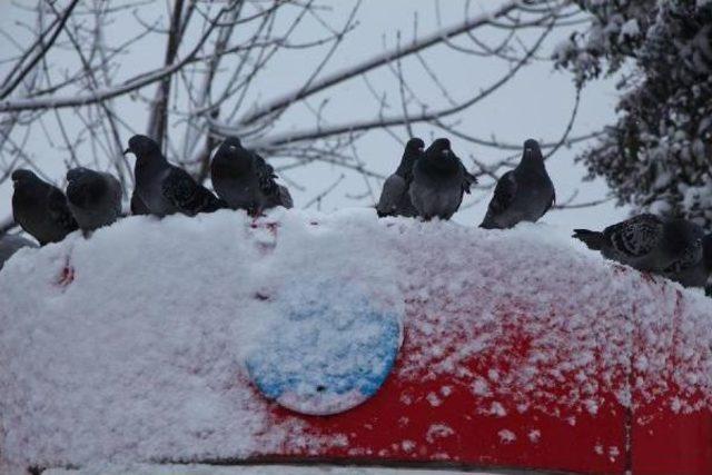 Çamlıca'da Kar Manzarası