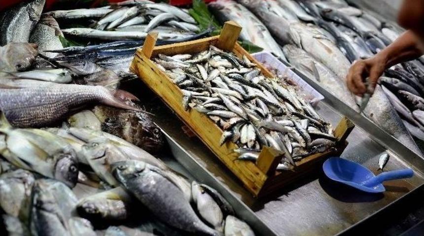 Balık Zekayı Artırıyor