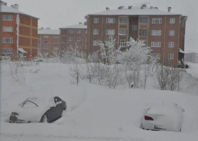 Bitlis’Te 246 Köy Yolu Ulaşıma Kapandı