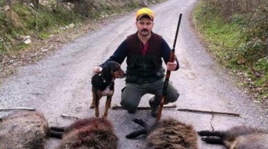 Avcılar, Şehir Merkezine Yaklaşan Domuzları Etkisiz Hale Getirdi