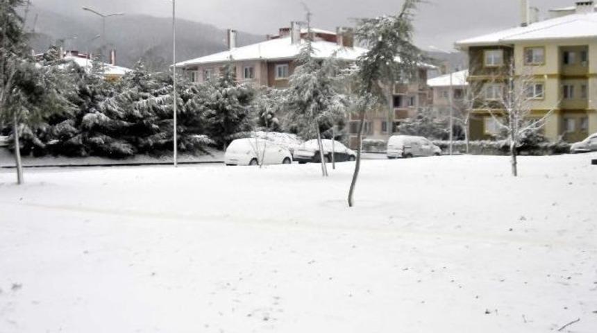 Yalova Beyazlara B&uuml;r&uuml;nd&uuml;