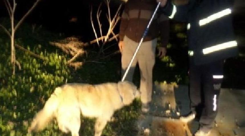 Kapağı A&ccedil;ık Kuyuya D&uuml;şen K&ouml;peği Itfaiye Kurtardı.