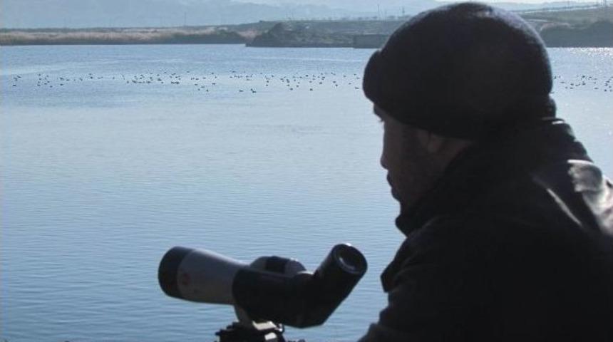 Şanlıurfa&rsquo;da Da Kuşlara N&uuml;f&uuml;s Sayımı Yapıldı