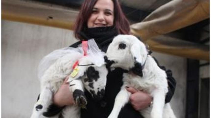 Sevgililer G&uuml;n&uuml;n&uuml; Onlar Da Kutlayacak