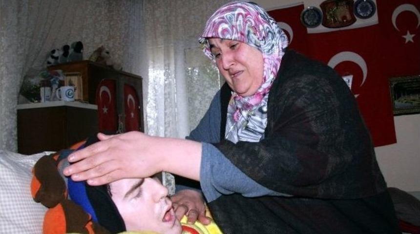 Y&uuml;ksek Elektrik Faturası "umut"u Da Vurdu