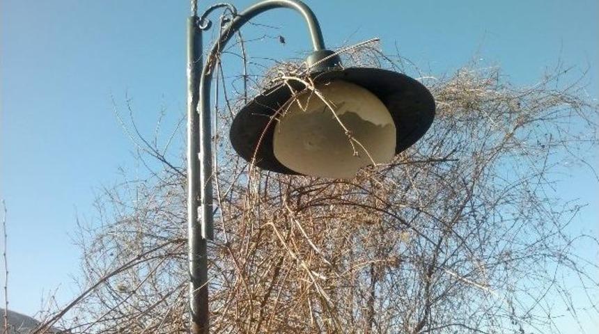 Vatandaşlar, Sokak Lambası İstiyor