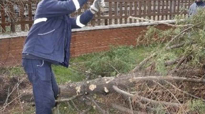 Fırtına S&ouml;kt&uuml;, Belediye Par&ccedil;aladı