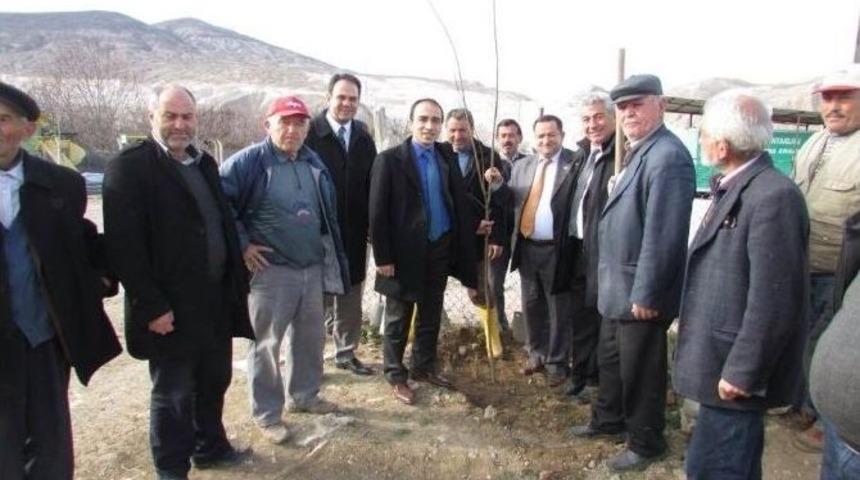 K&ouml;ylerde Fidan Seferberliği