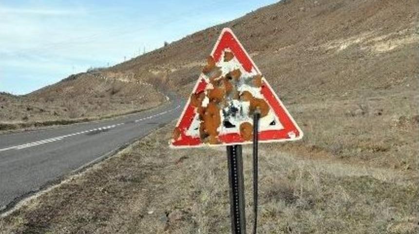 Trafik Levhaları Maganda Kurbanı