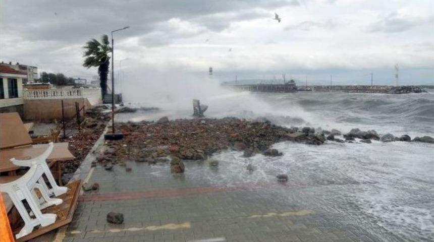 İzmir&rsquo;de Fırtına &Ccedil;atıları U&ccedil;urdu, Ağa&ccedil;ları K&ouml;k&uuml;nden S&ouml;kt&uuml;