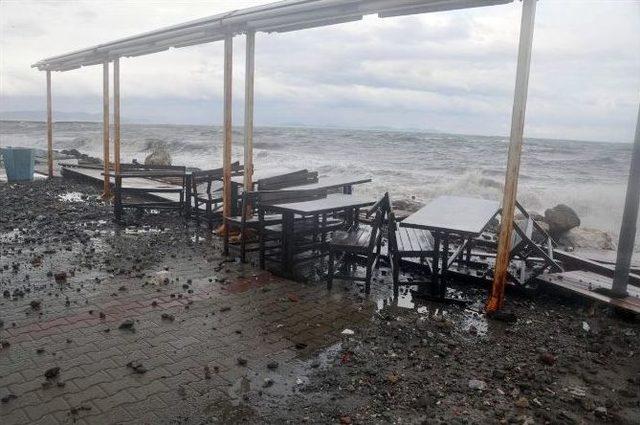 İzmir’de Fırtına Çatıları Uçurdu, Ağaçları Kökünden Söktü