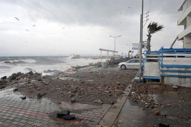 İzmir’de Fırtına Çatıları Uçurdu, Ağaçları Kökünden Söktü