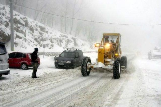 Kocaeli'nde Kar Çilesi