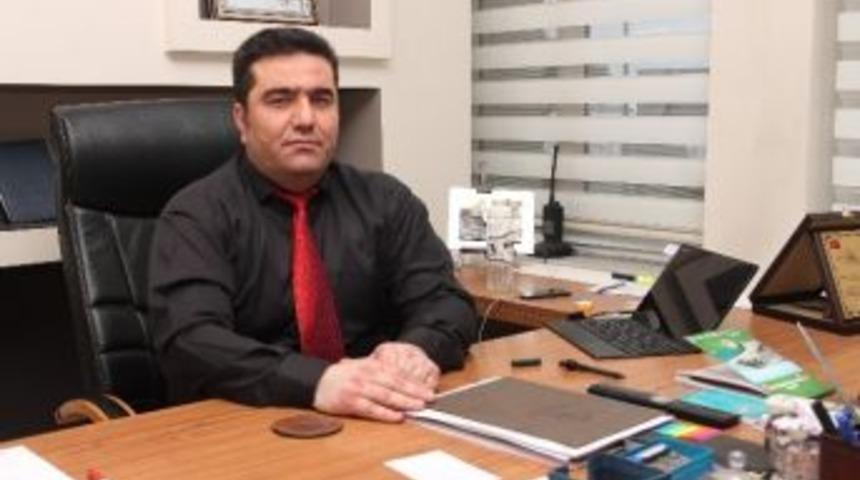 Maden Sahaları, Ceviz Ağa&ccedil;larına D&ouml;n&uuml;şecek