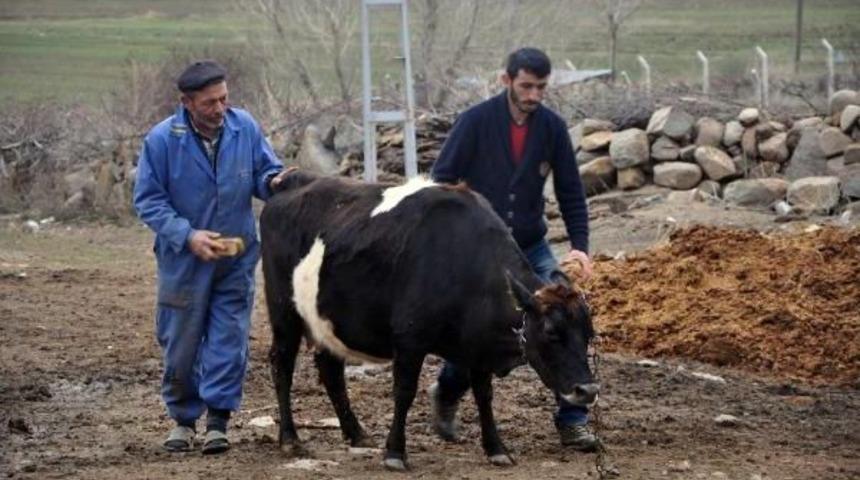 Doğuştan Ay-Yıldızlı