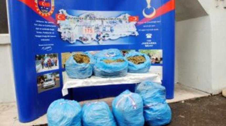 Karkamış'ta Iki Ara&ccedil;tan 64 Kilo Esrar &Ccedil;ıktı