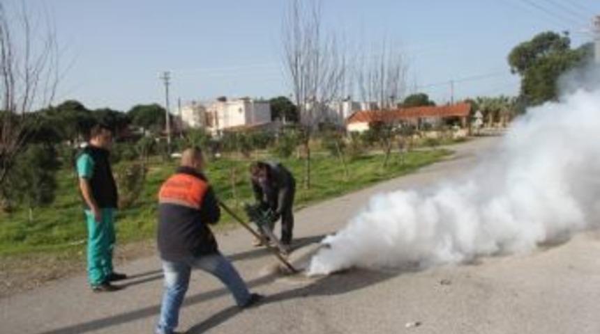 Burhaniye&rsquo;de Sivrisinek İ&ccedil;in Kış M&uuml;cadelesi