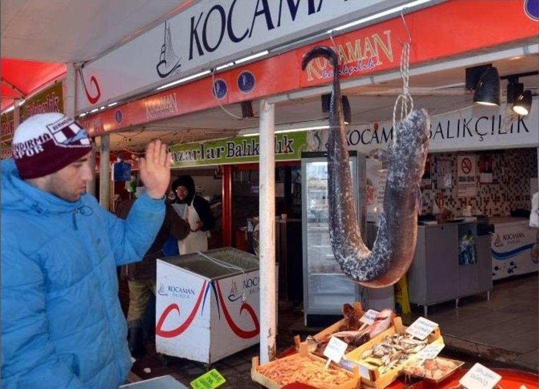 (&ouml;zel Haber) Piton Gibi Balık