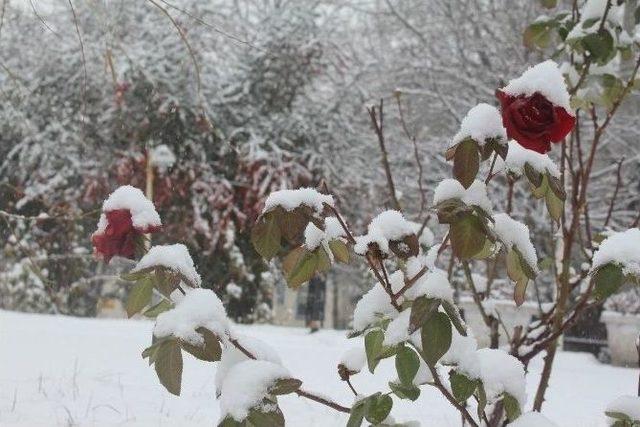 Çankırı’da Kar Yağışı