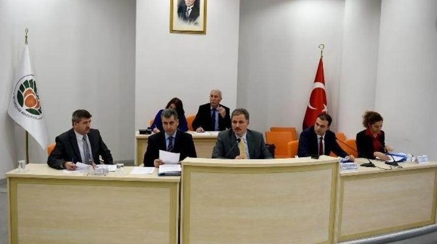 B&uuml;y&uuml;kşehir Meclisi Şubat Ayı Toplantıları Başladı
