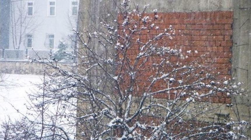 Kışın Ortasında &Ccedil;i&ccedil;ek A&ccedil;an Badem Ve Kayısı Ağa&ccedil;ları Kardan Olumsuz Etkilendi