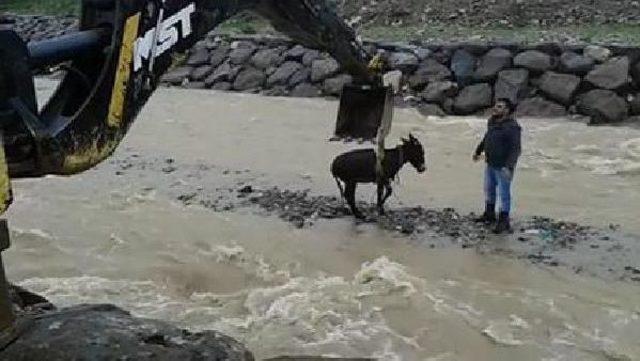 Derede Mahsur Kalan Eşeği Kurtarma Operasyonu