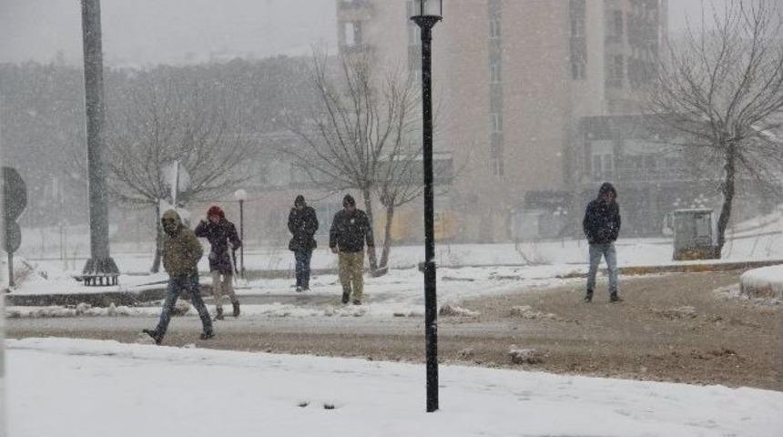 Karın Tadını &Ccedil;ocuklar &Ccedil;ıkardı