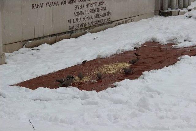 Karın Tadını Çocuklar Çıkardı