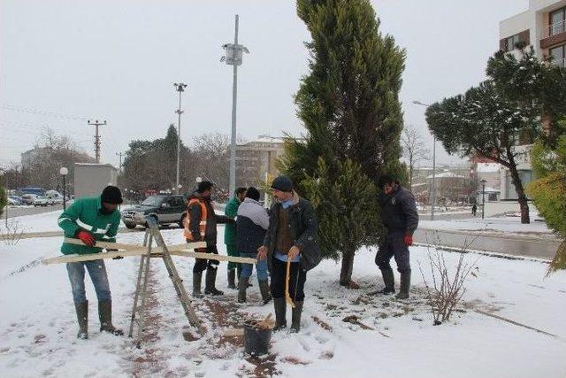 Karın Tadını Çocuklar Çıkardı