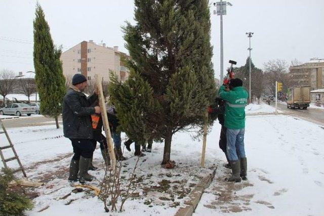 Karın Tadını Çocuklar Çıkardı