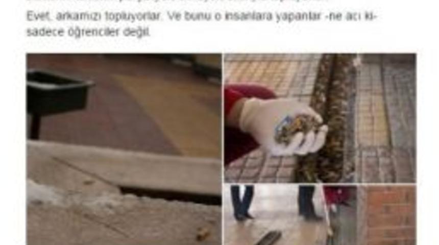 Üniversite Öğrencisinden Duyarlılık Kampanyası